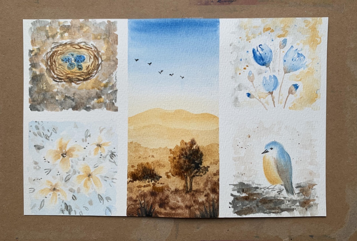 Watercolour collections - student project