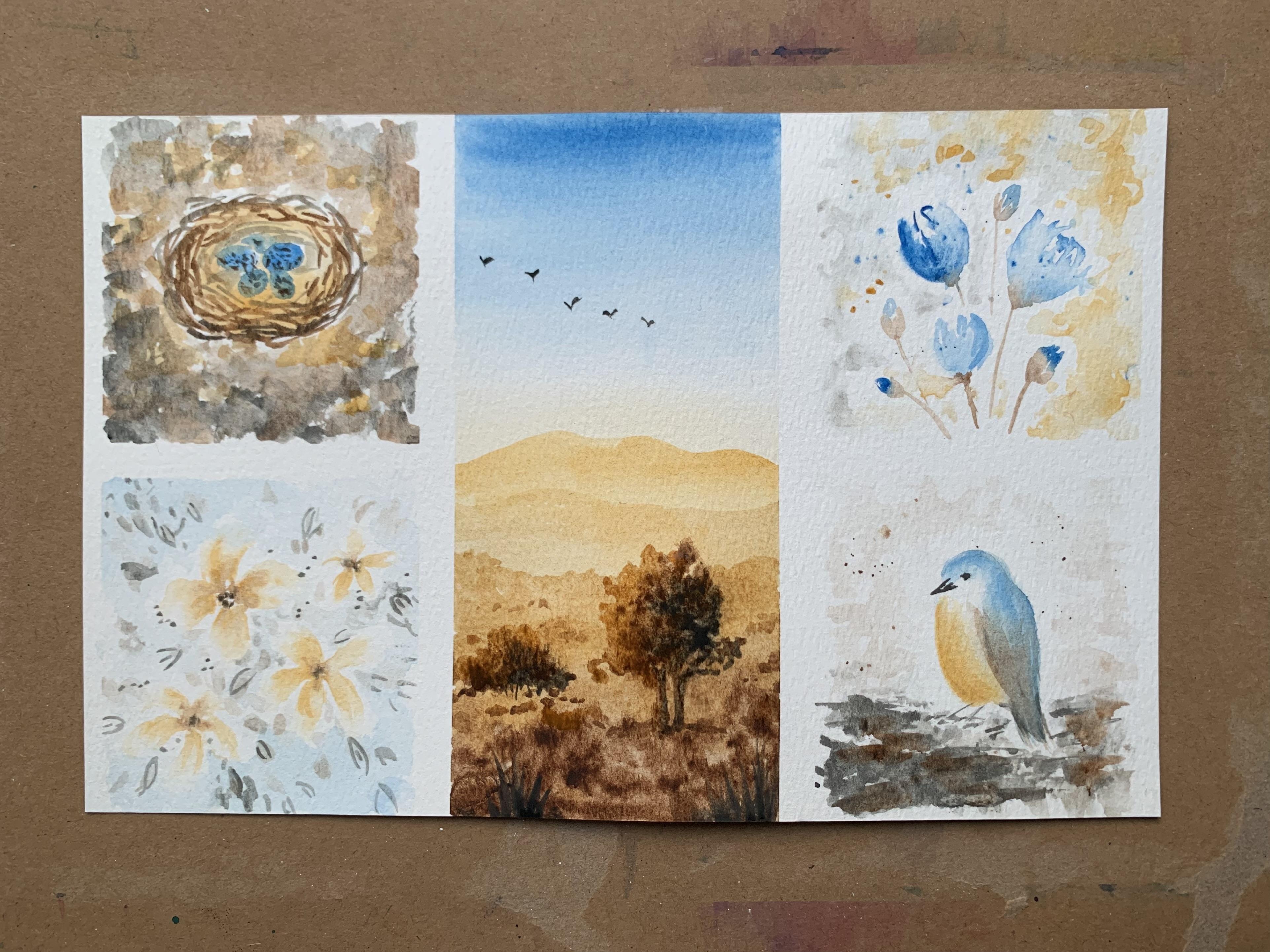 Watercolour collections - student project