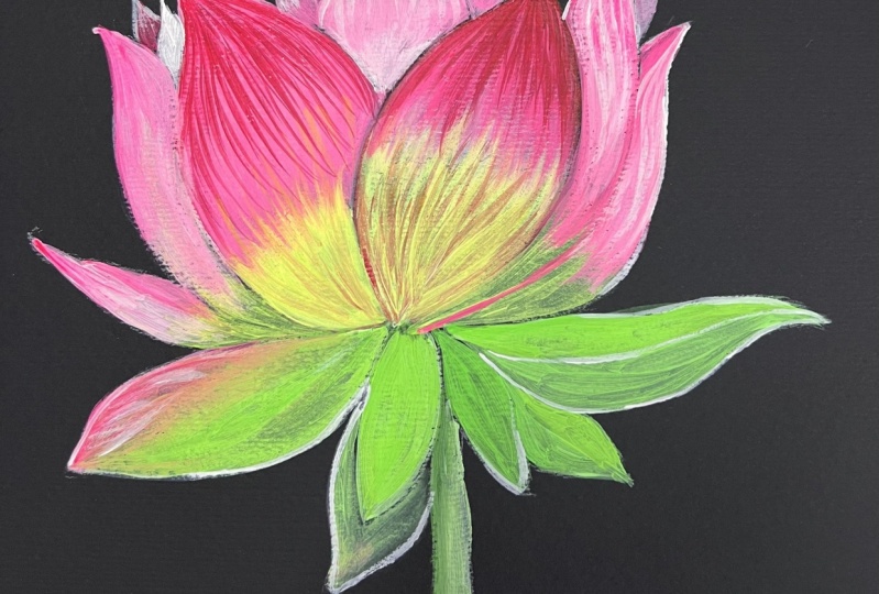Lotus