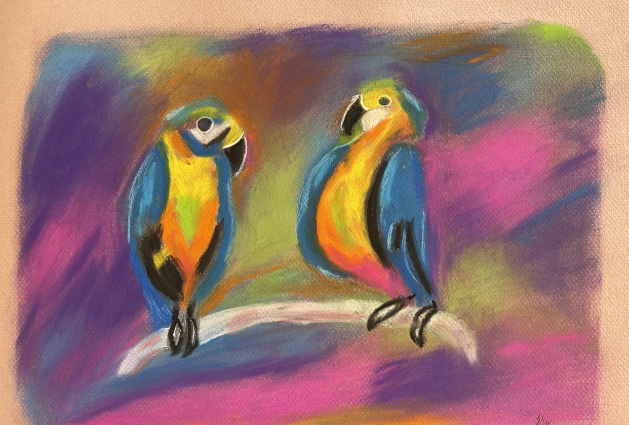 Soft Pastel Birds - student project