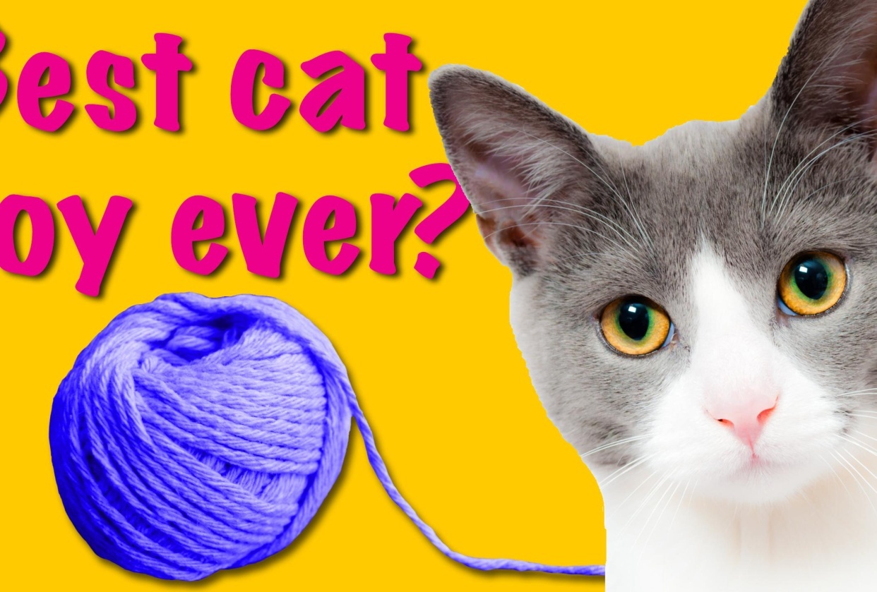Got yarn? - student project