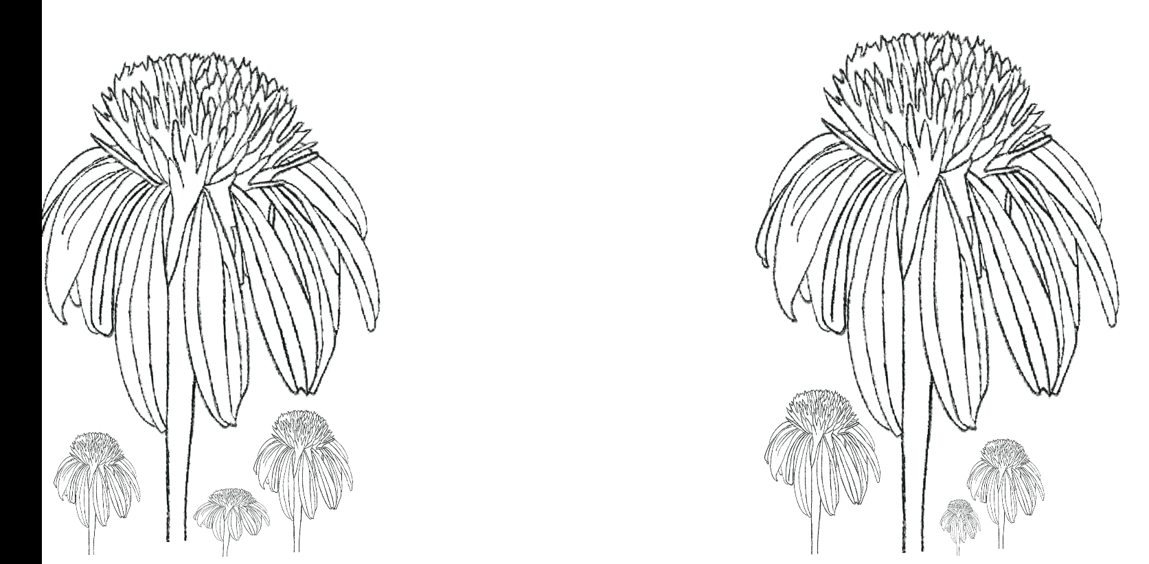 Flowers in the Wind - student project