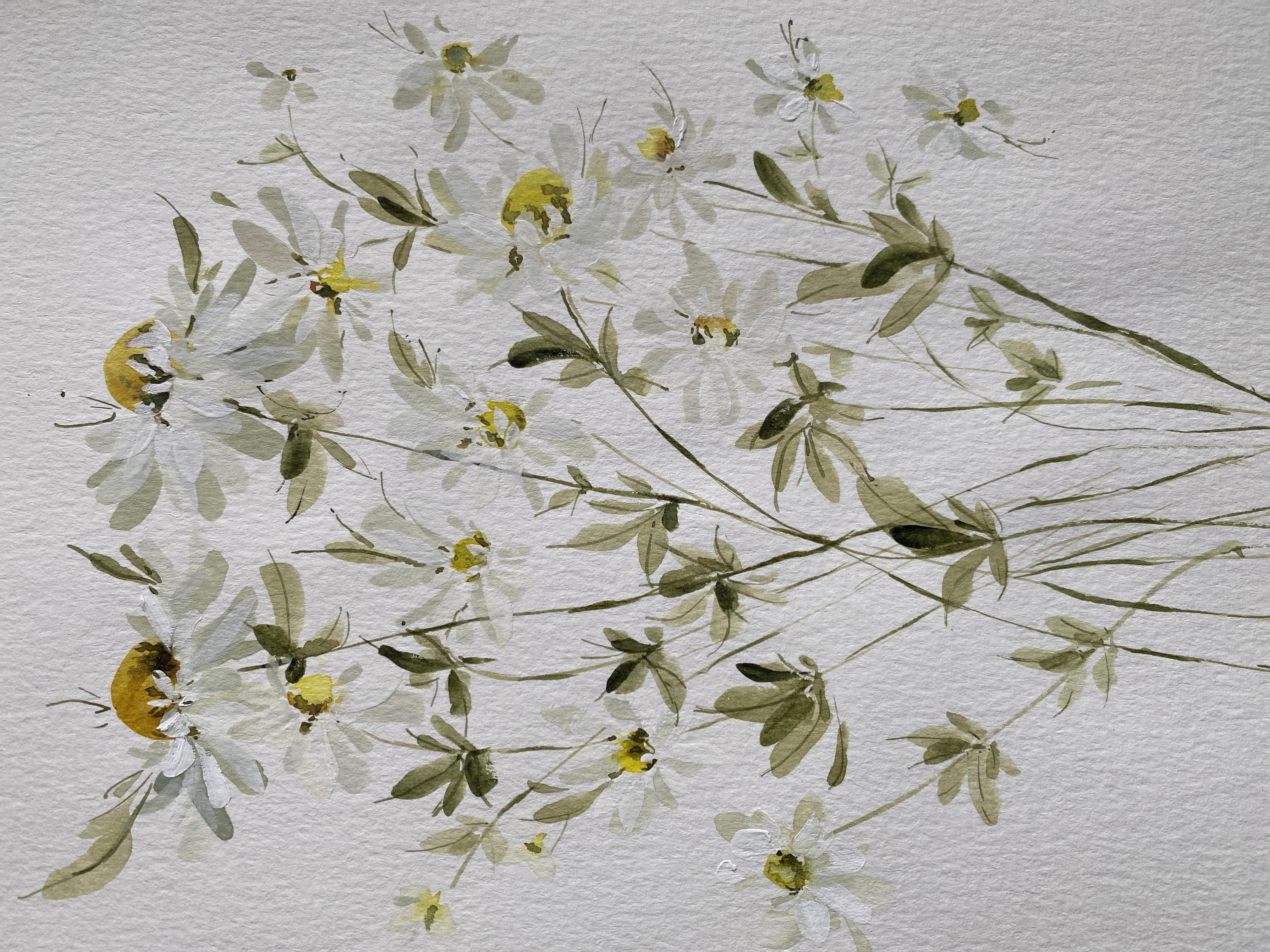 Scottish Wildflowers - student project