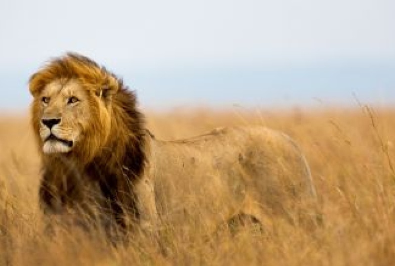 Overcoming Interview fear