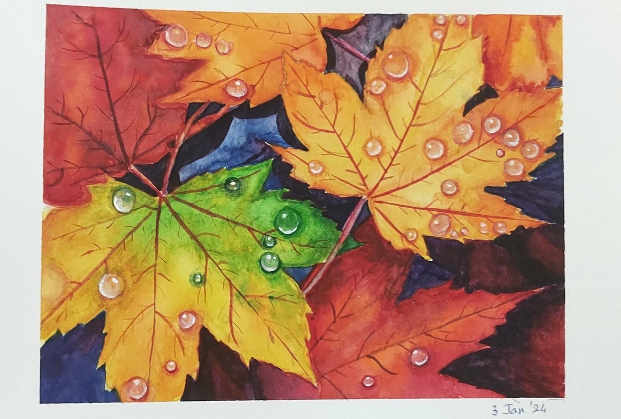 Feuille D'érable Automne Coloré Isolé Sur Fond Blanc. Impression