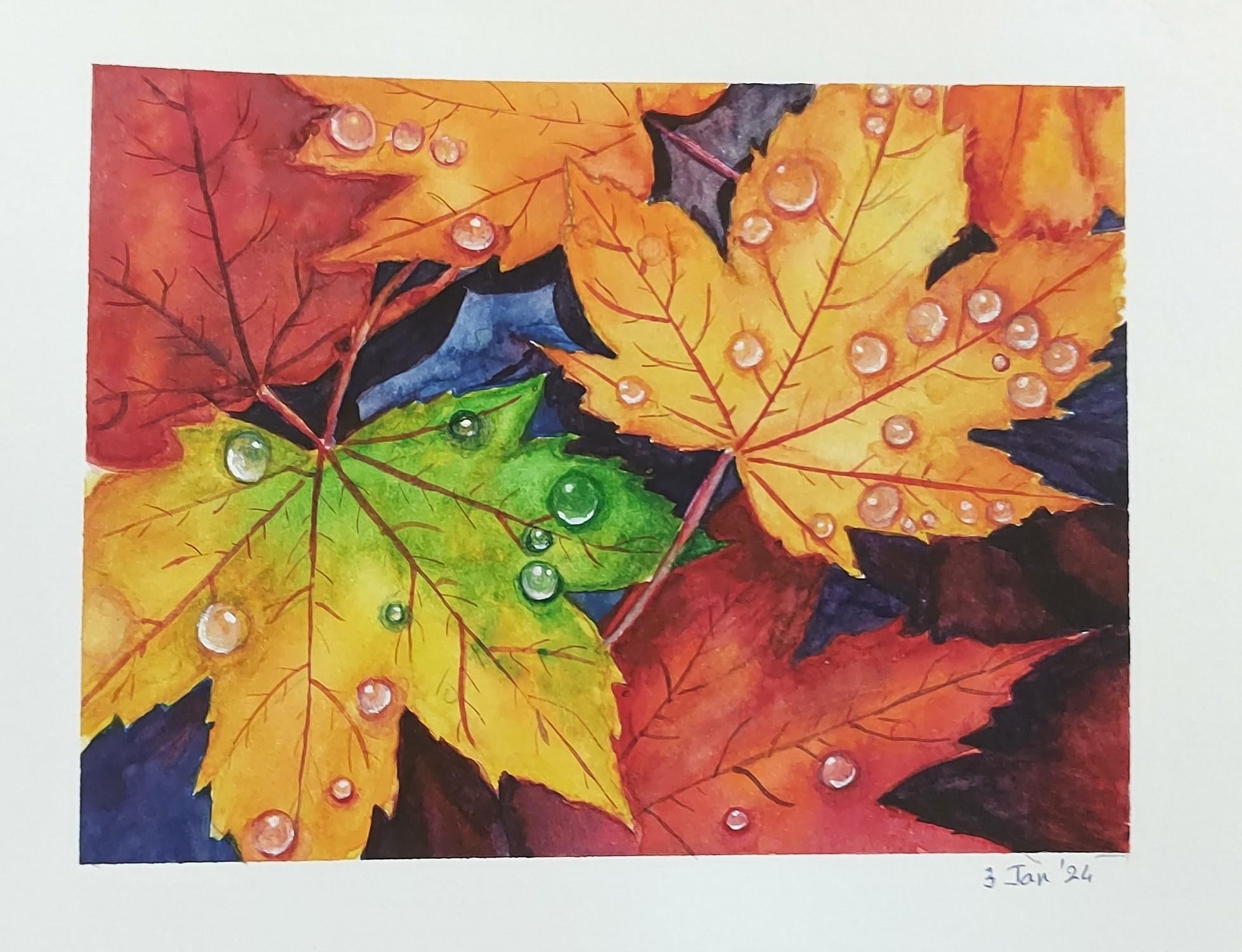 Maple Leaves - student project