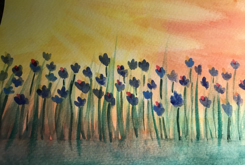 Field of flowers
