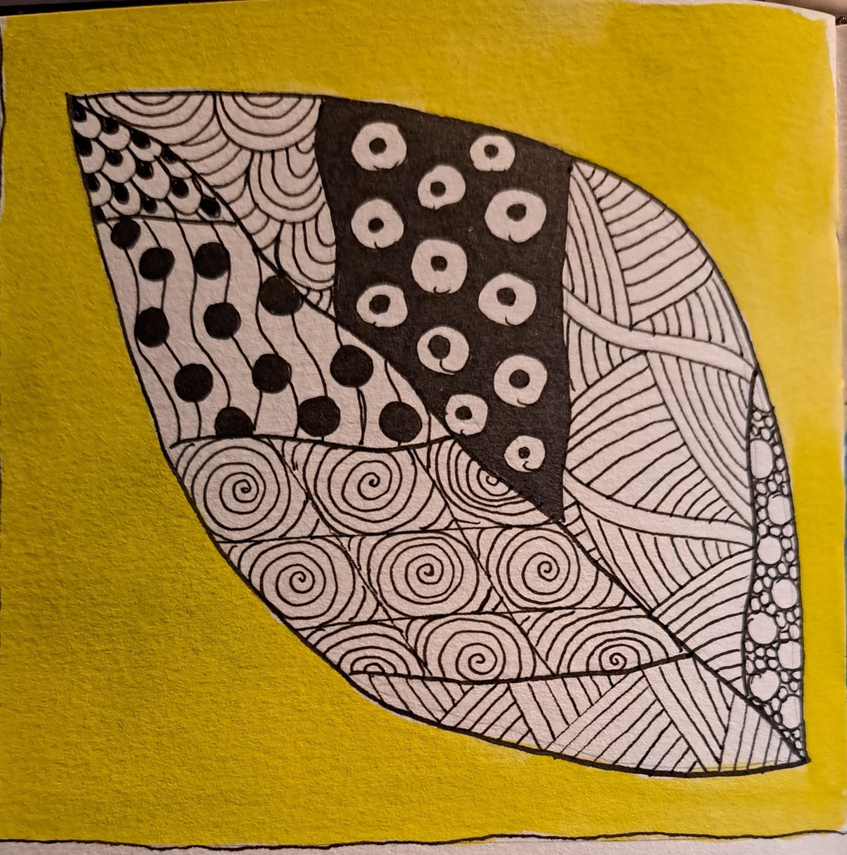 more-projects-from-class-img