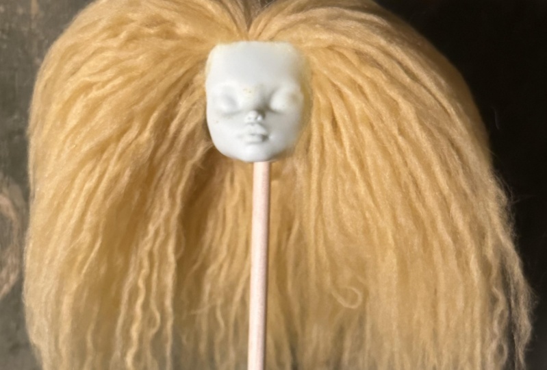Doll Re-Root Project