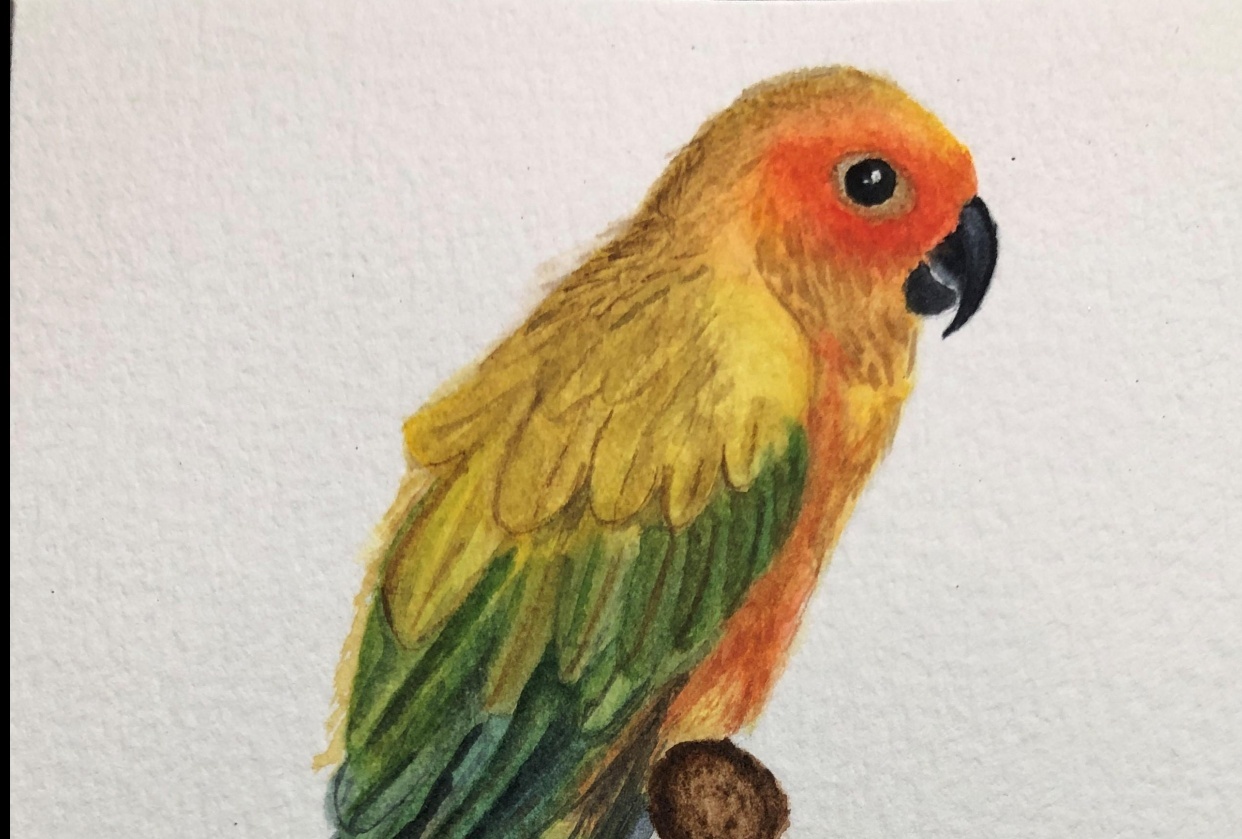 Pássaro realista - student project
