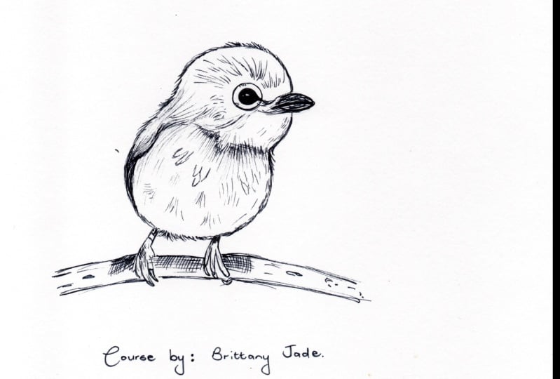 Little Bird