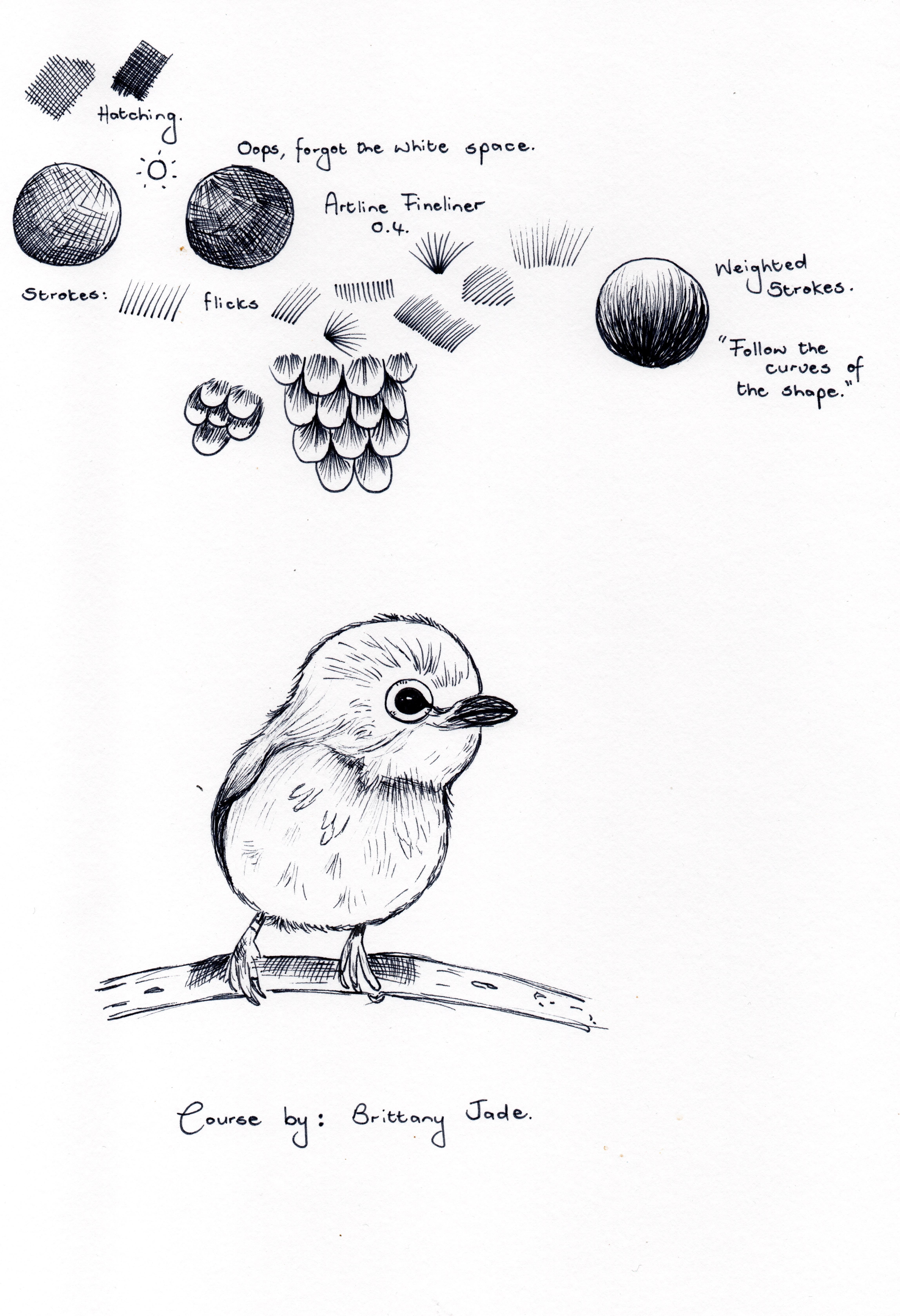 more-projects-from-class-img