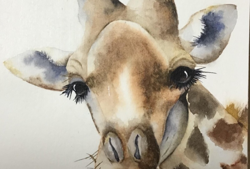 Giraffe