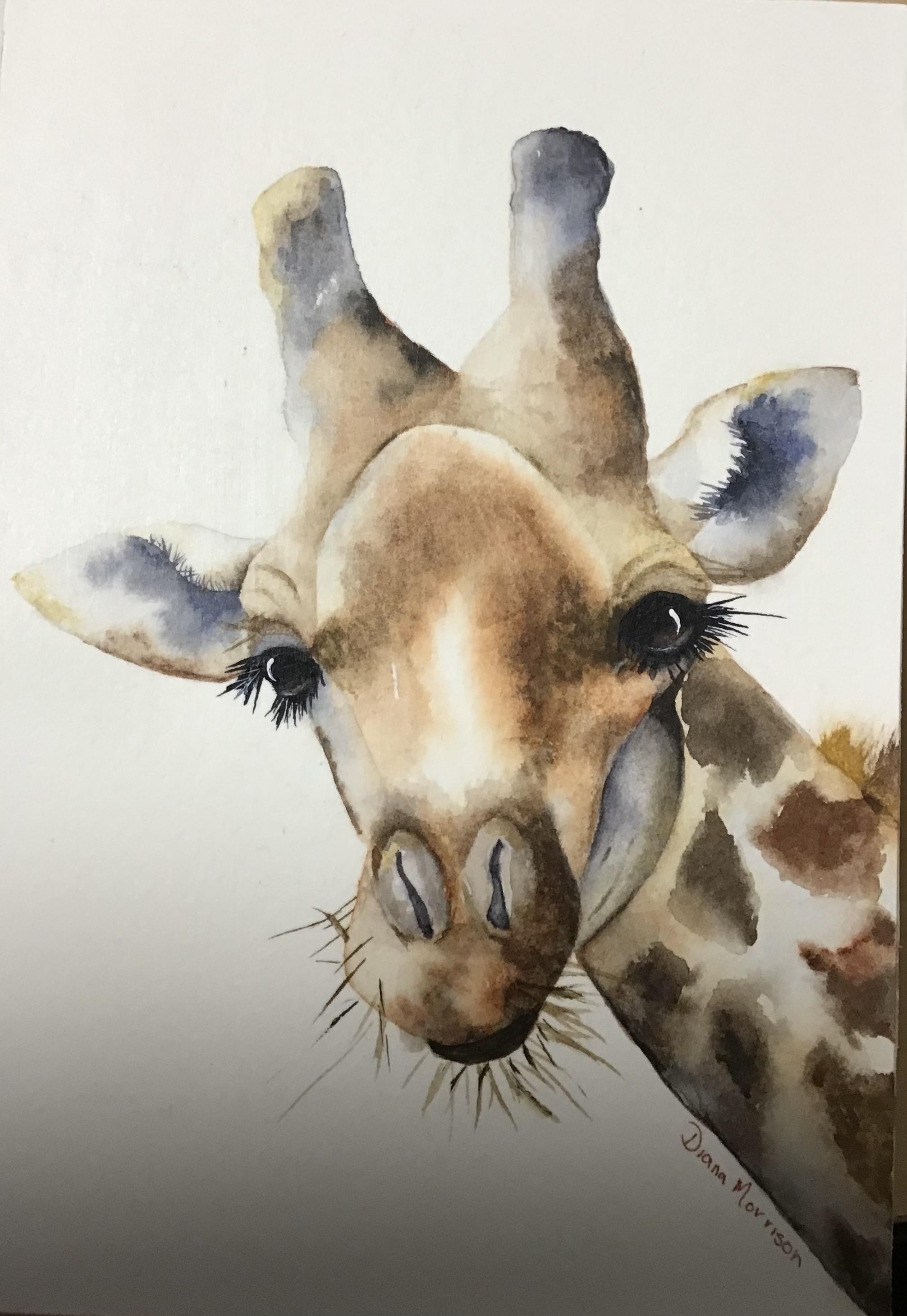 Ilustração no estilo de vitrais com cabeça de girafa de arco-íris abstrato  em um fundo azul, imagem oval em quadro brilhante Vetor de ©Zagory 340534548, image size:2012x2918