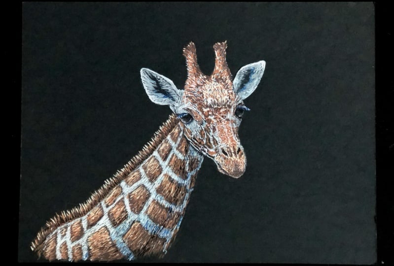 Posca Pen Giraffe