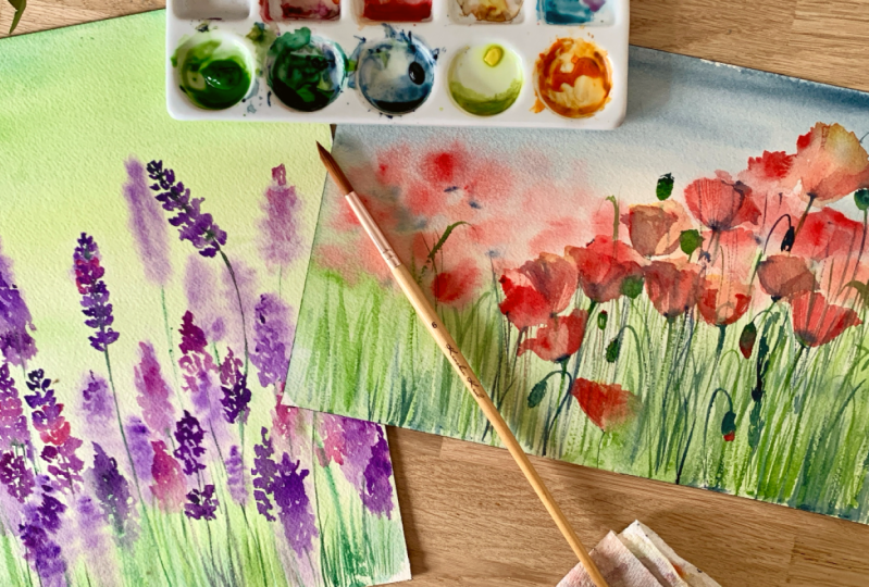 Poppies and Lavenders