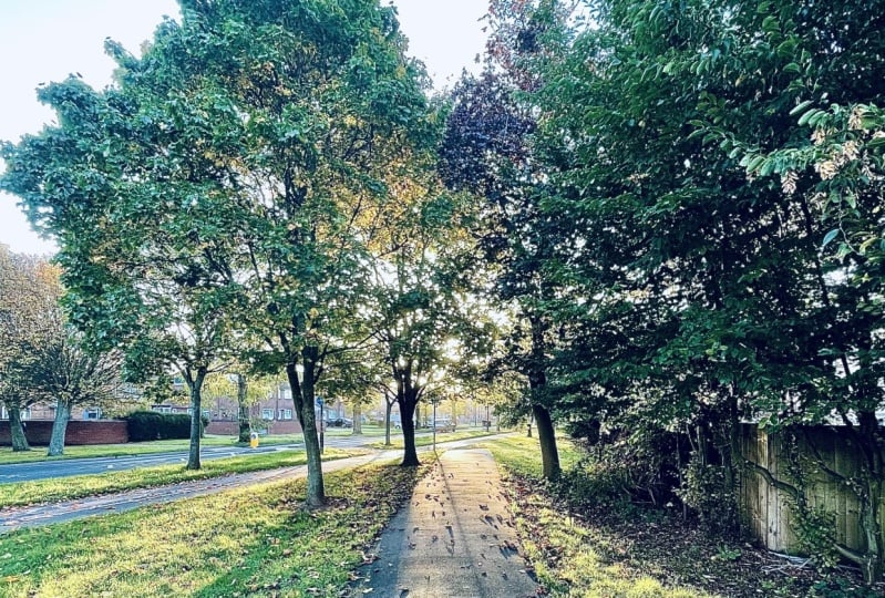 Early autumnal walk