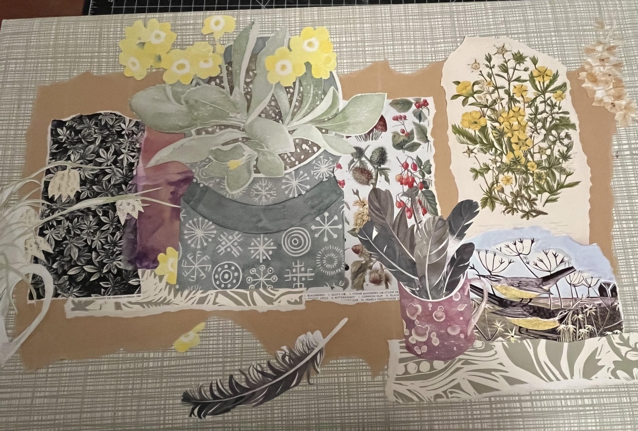 A walk in the woods - student project