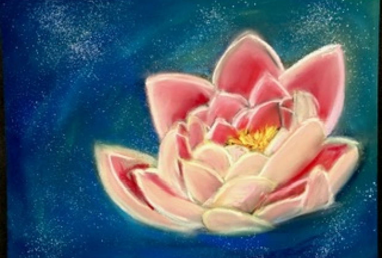 Waterlily Magic at Night - student project