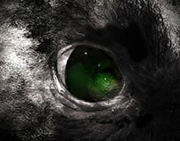 eyee - student project