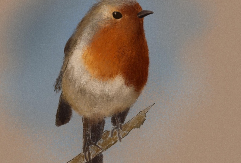 pastel robin + orange