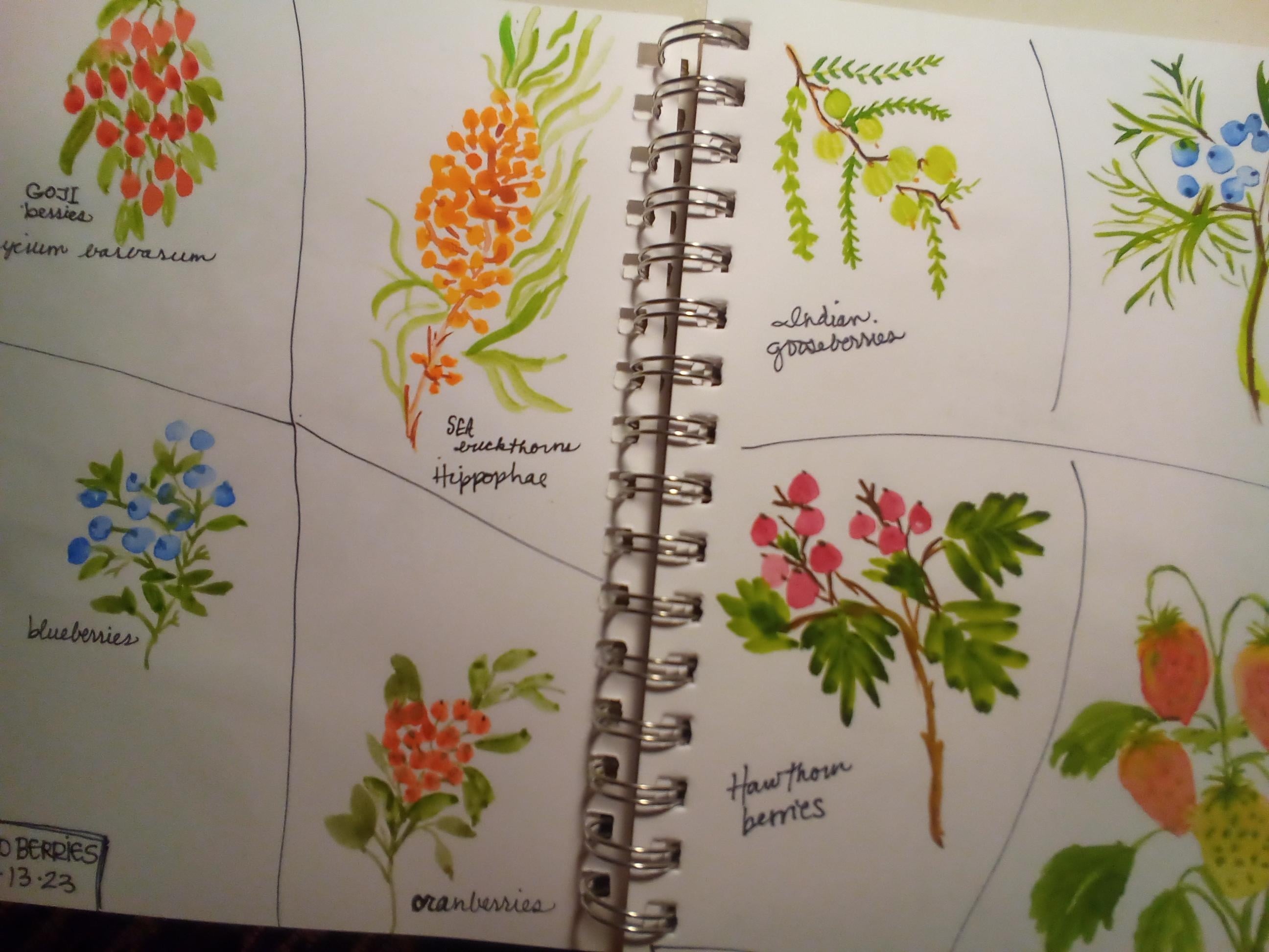 more-projects-from-class-img
