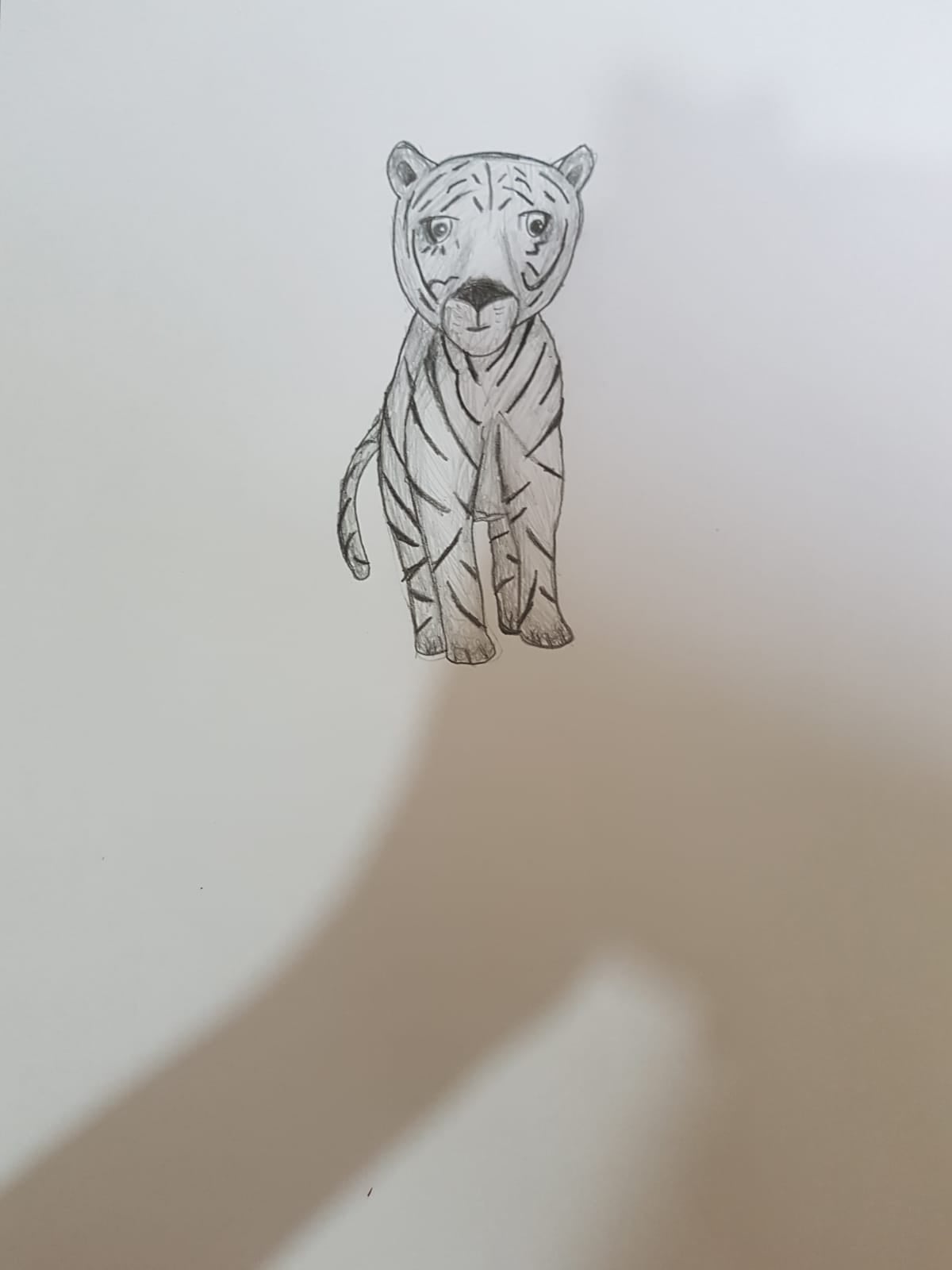 more-projects-from-class-img