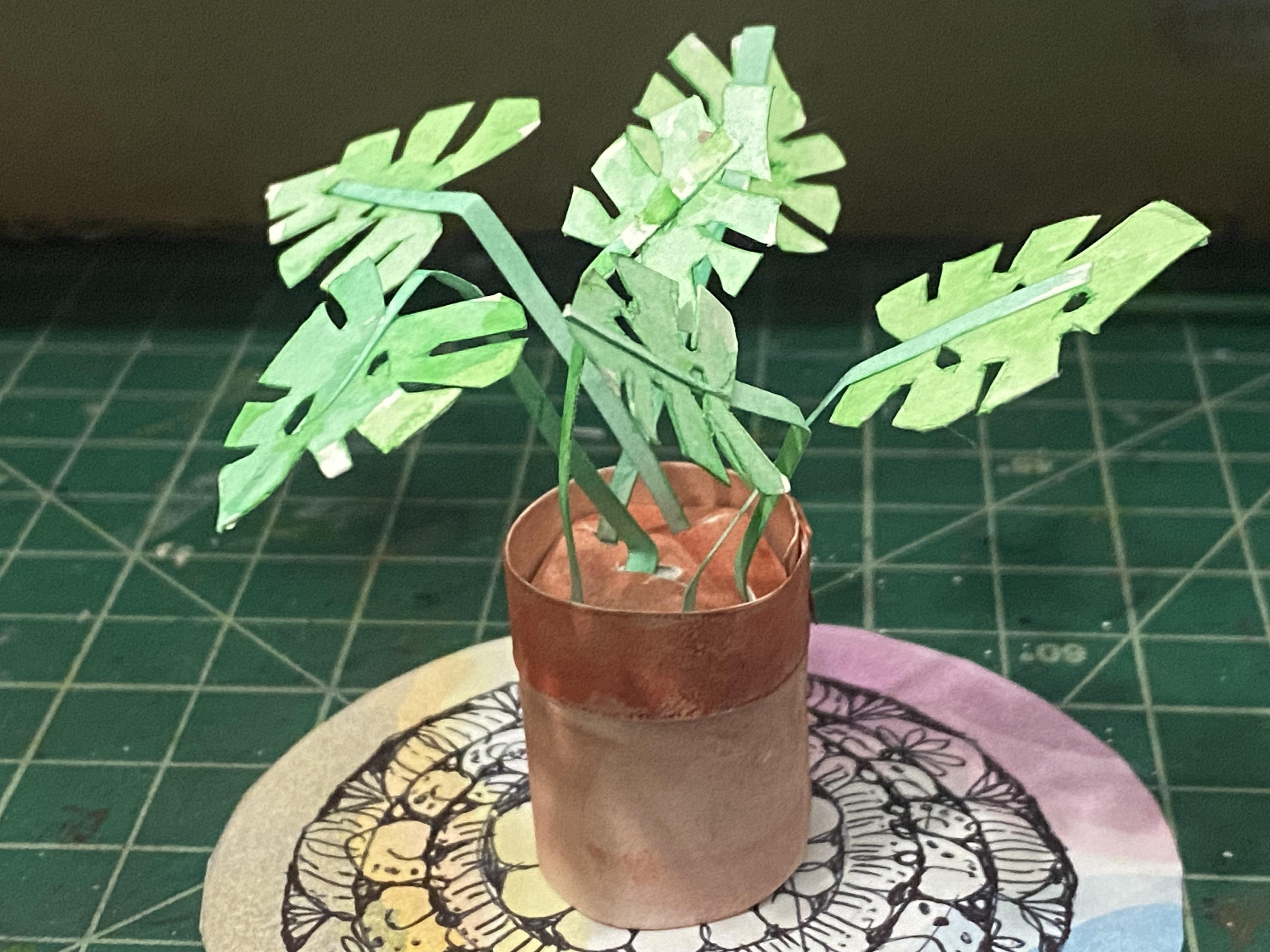 My monstera - student project