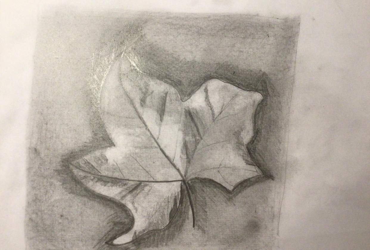 My first try - student project