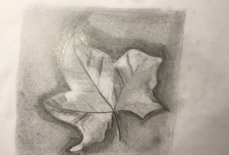 My first try