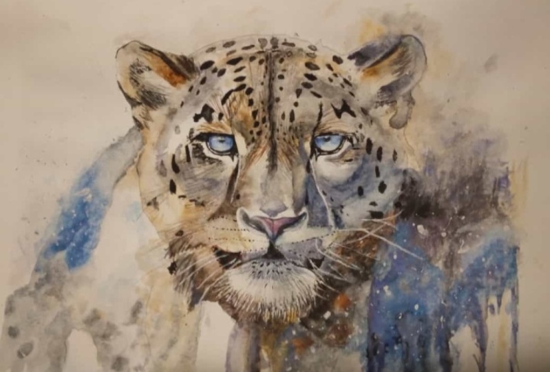 my leopard
