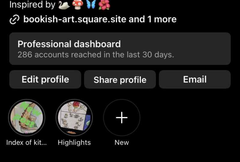 Instagram bio