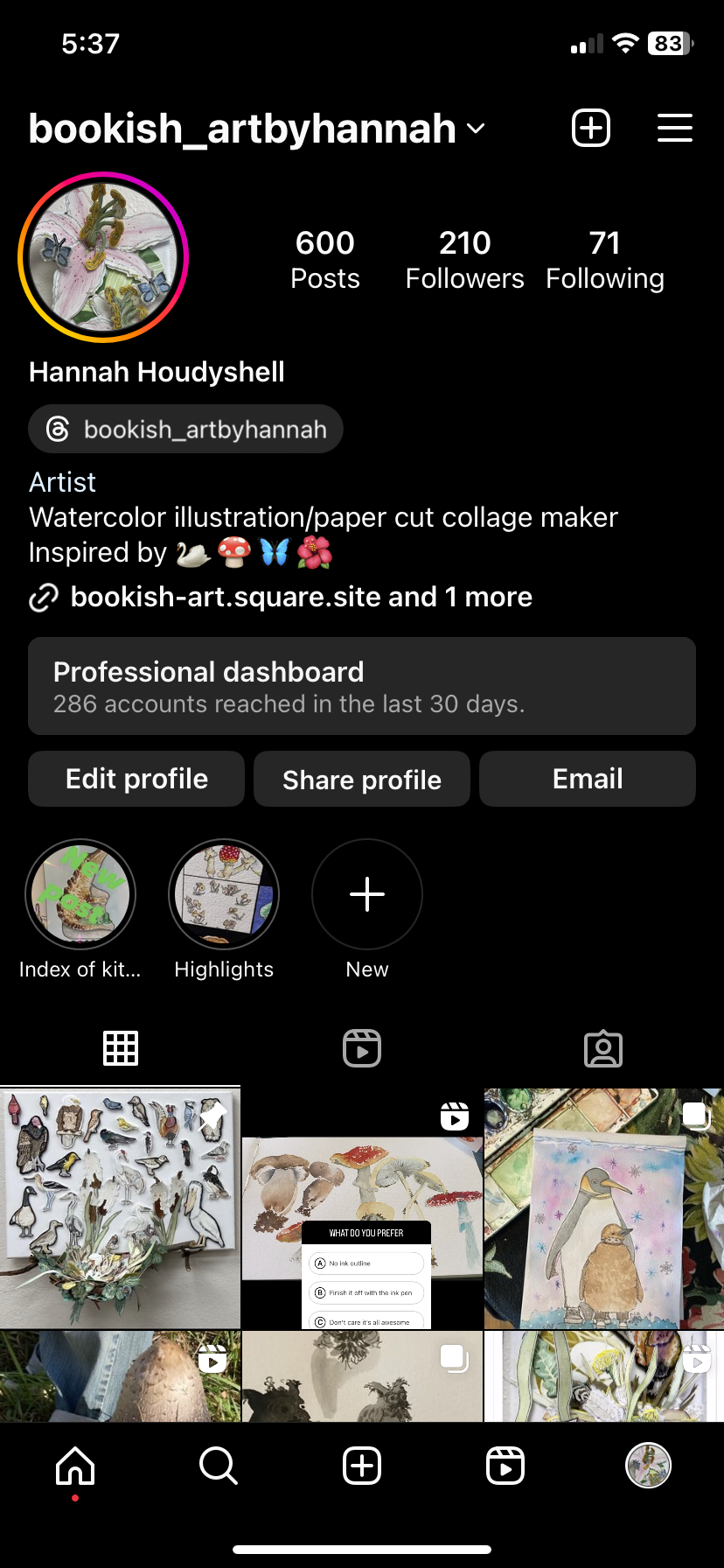 Instagram bio - student project