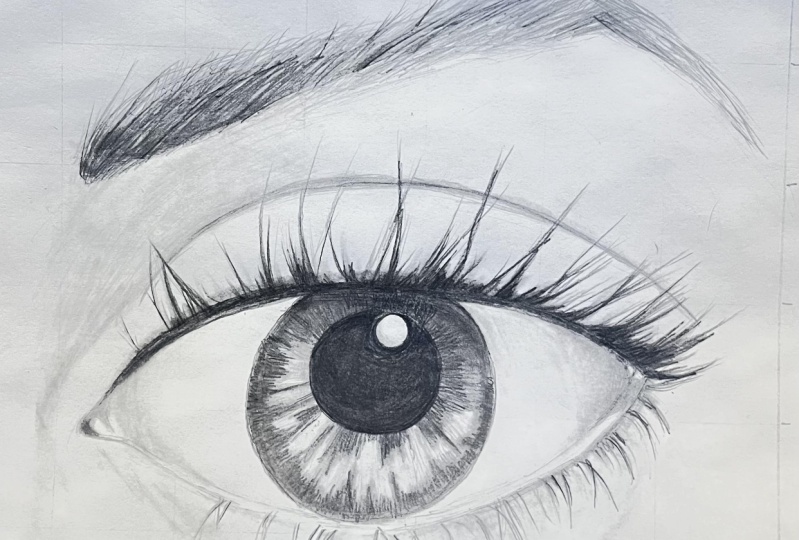 Eye