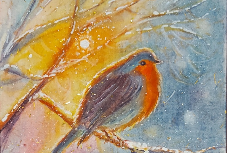 Robin birds