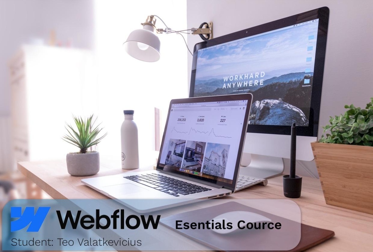 Webflow Essentials Project