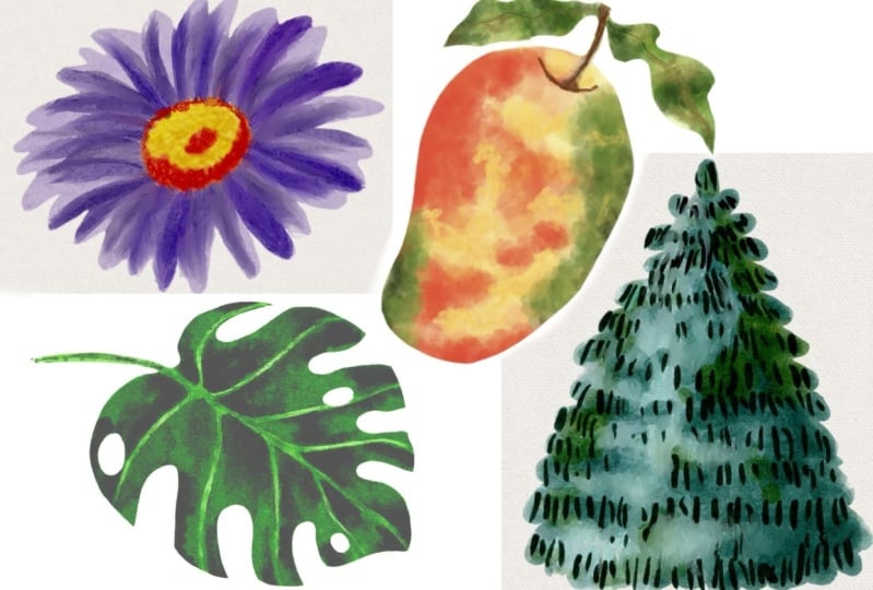 Watercolor '