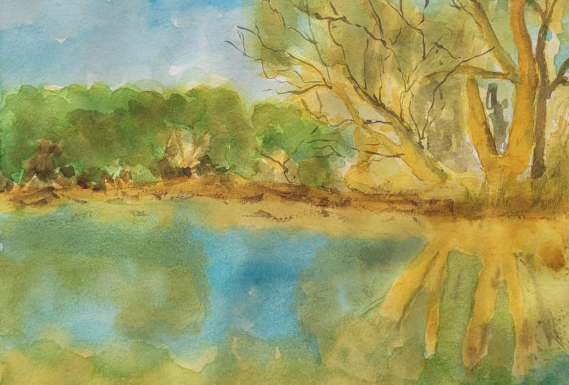 Landscape reflection