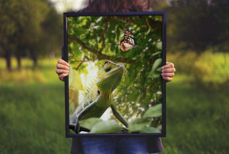 photo manipulations with Photoshop