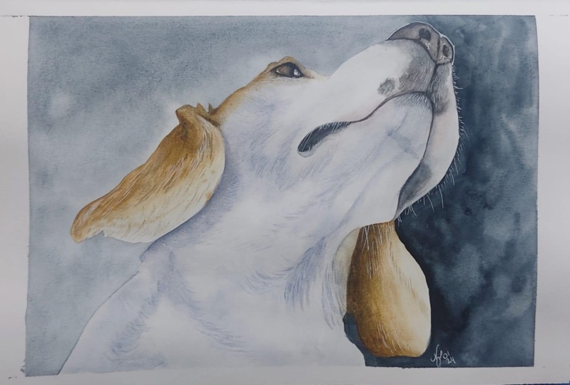 Lemon Beagle