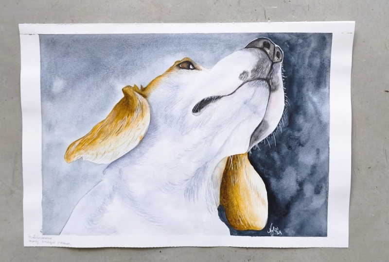 Lemon Beagle