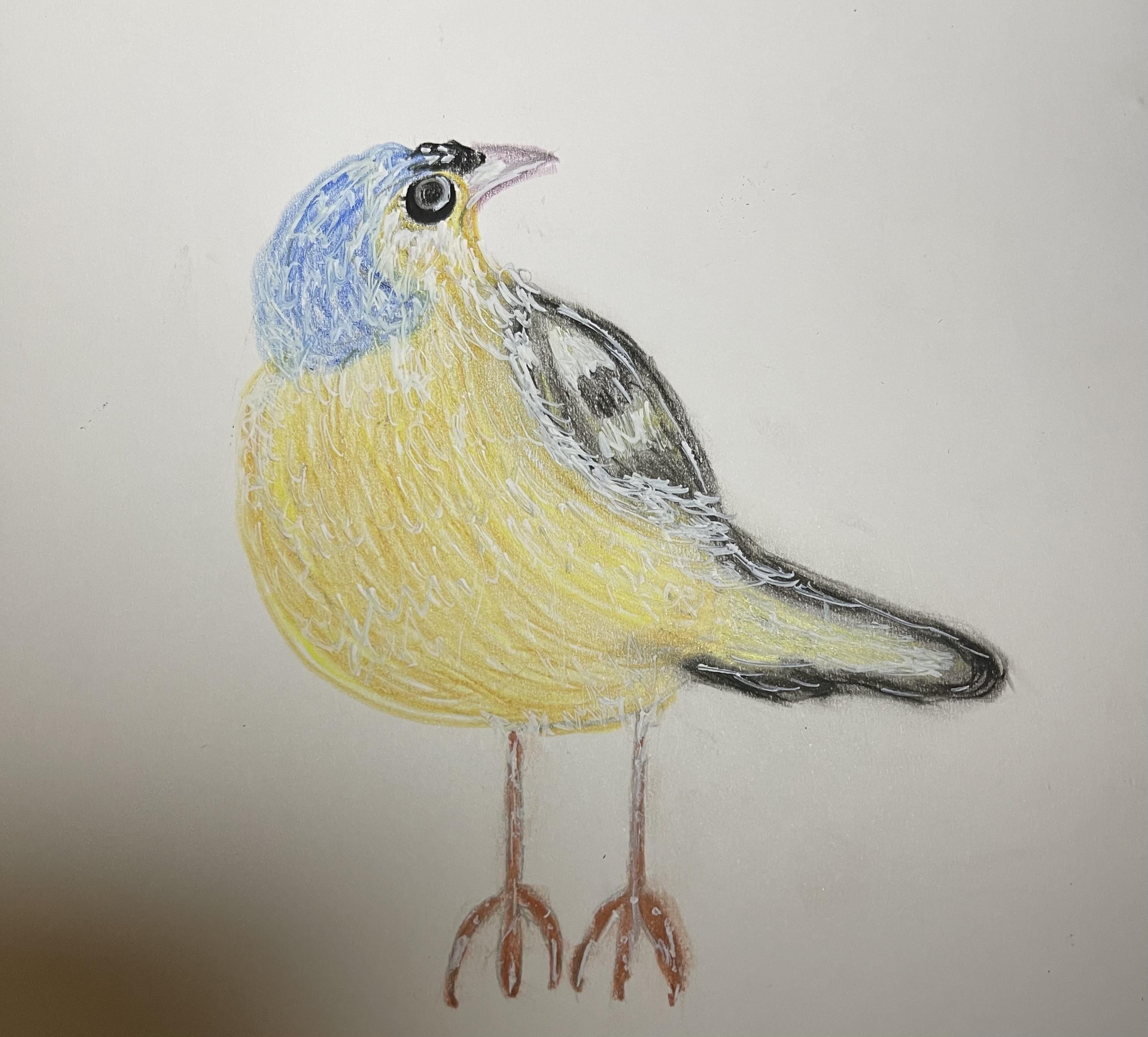 more-projects-from-class-img