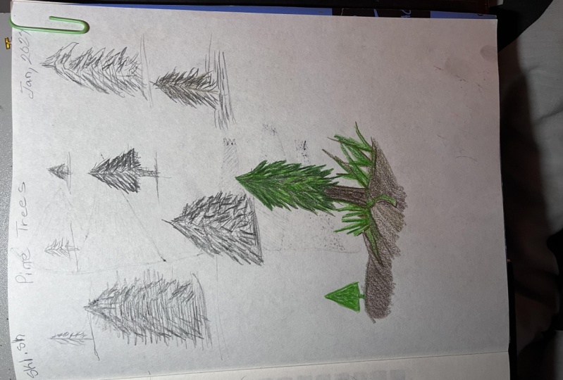Pinetree