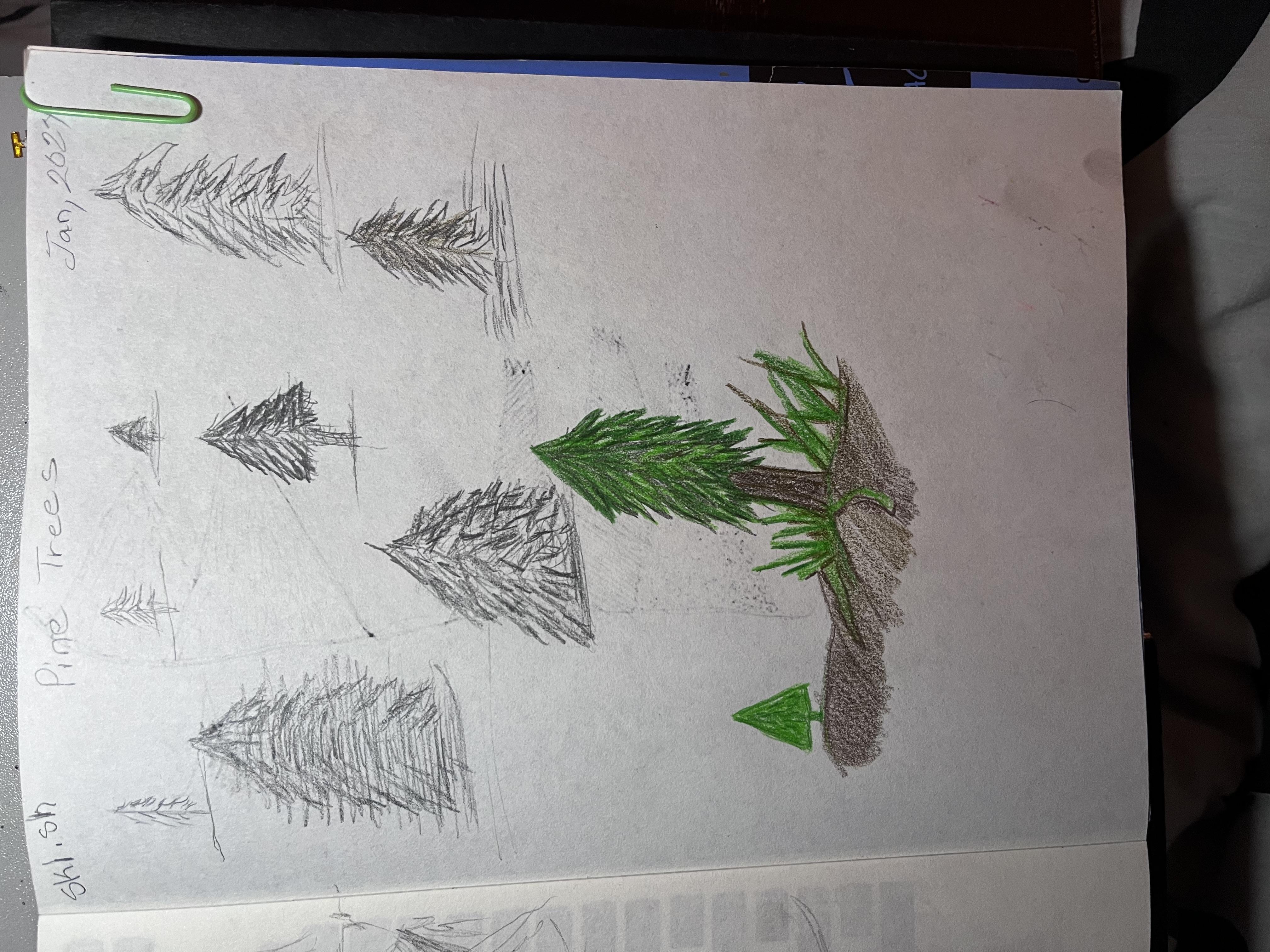 more-projects-from-class-img