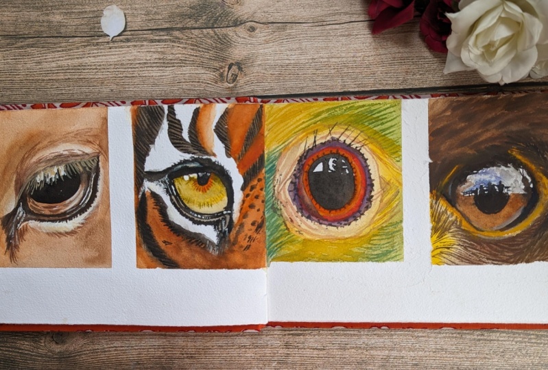 Mastering Animal and Bird Eyes with Expression and Emotion in Watercolor