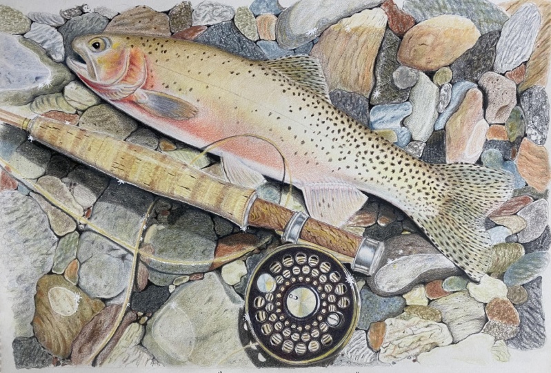 Cutthroat trout