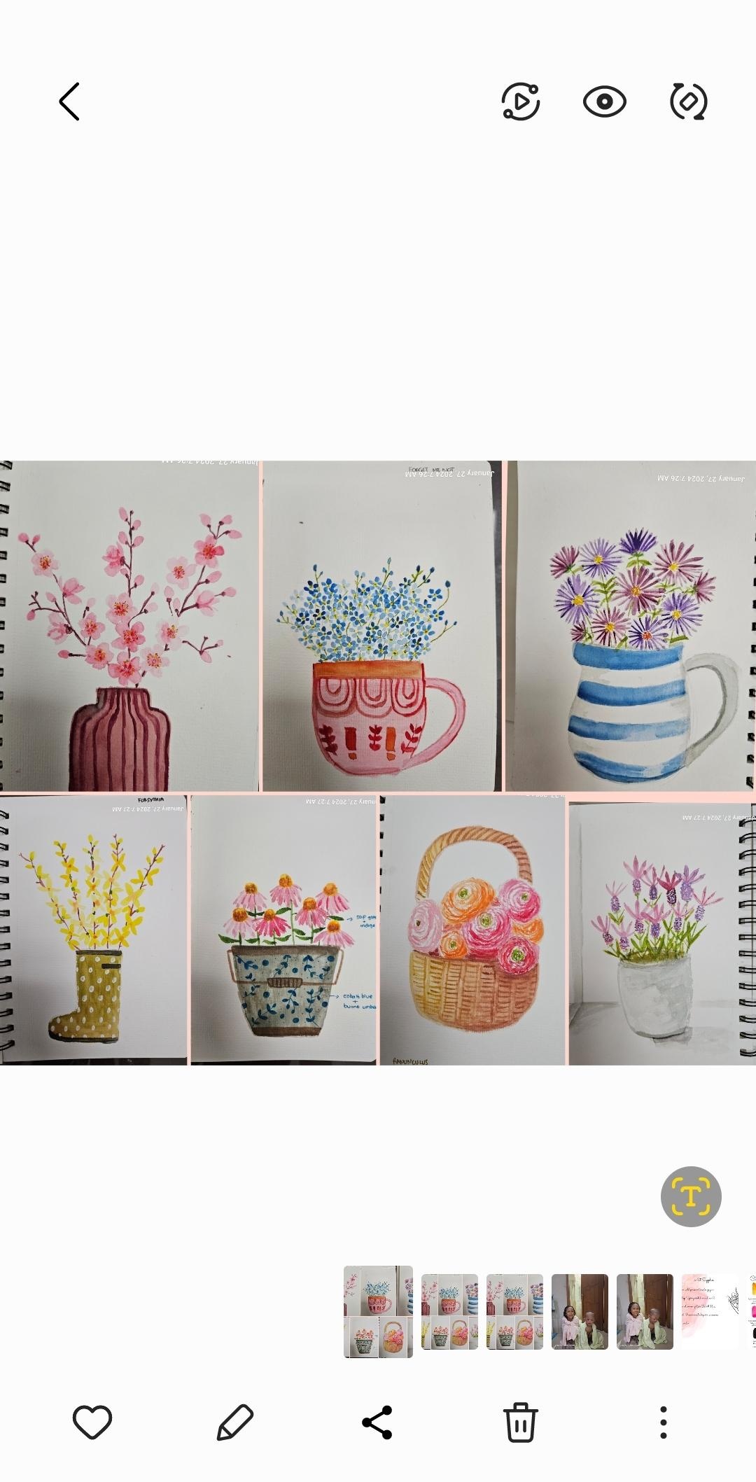 7 days of flowers - student project