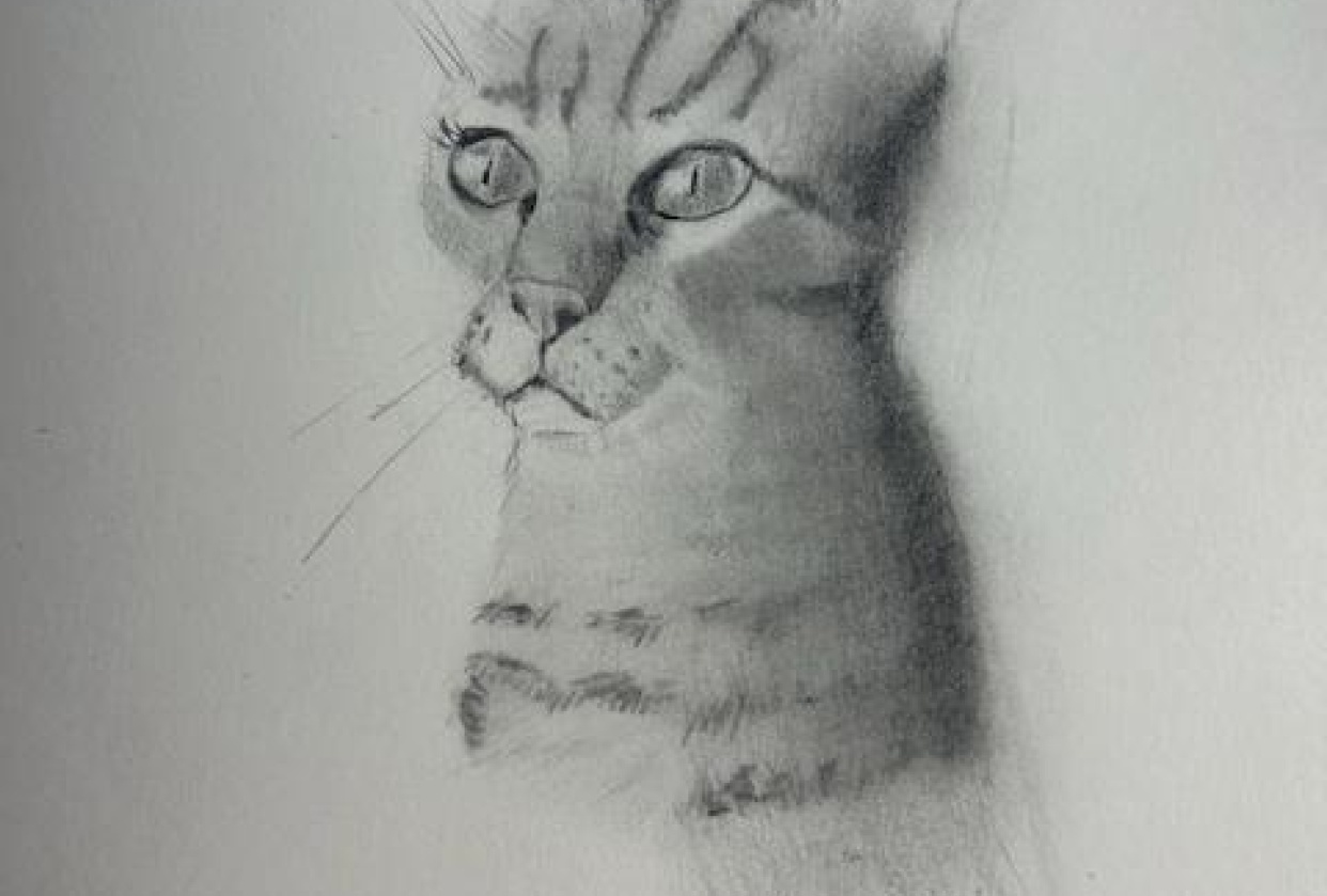 CAT 2 - student project