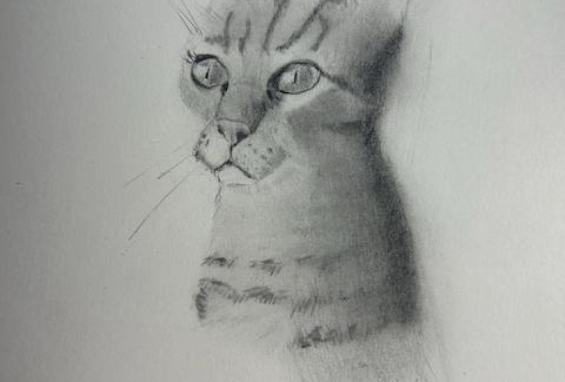 CAT 2