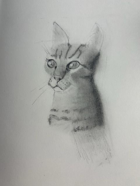 CAT 2 - student project